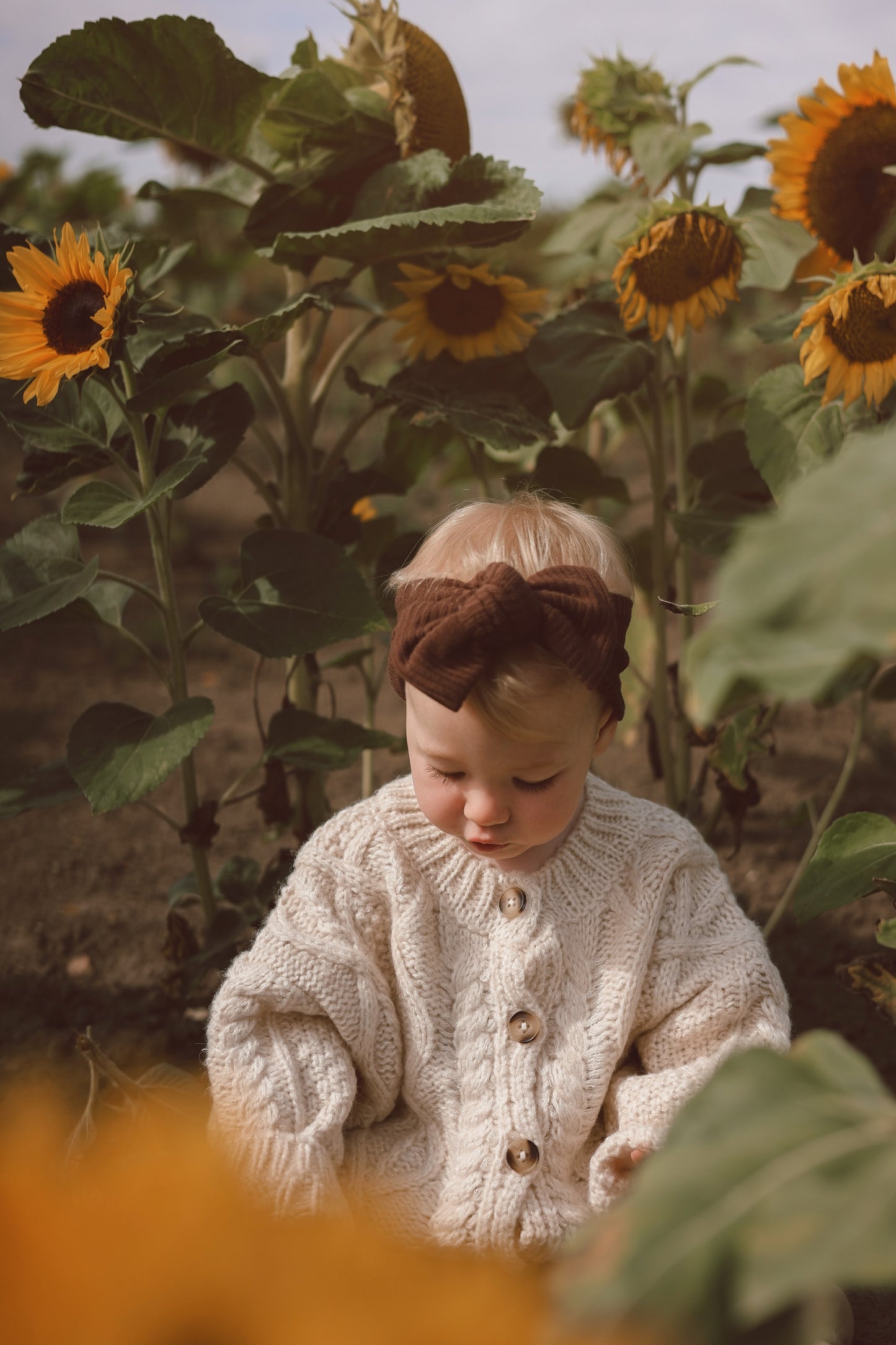 Topknot | Chocolate Brown Rib