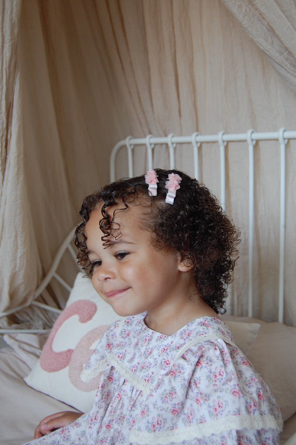 Clip Set | Petite Roses - Blush