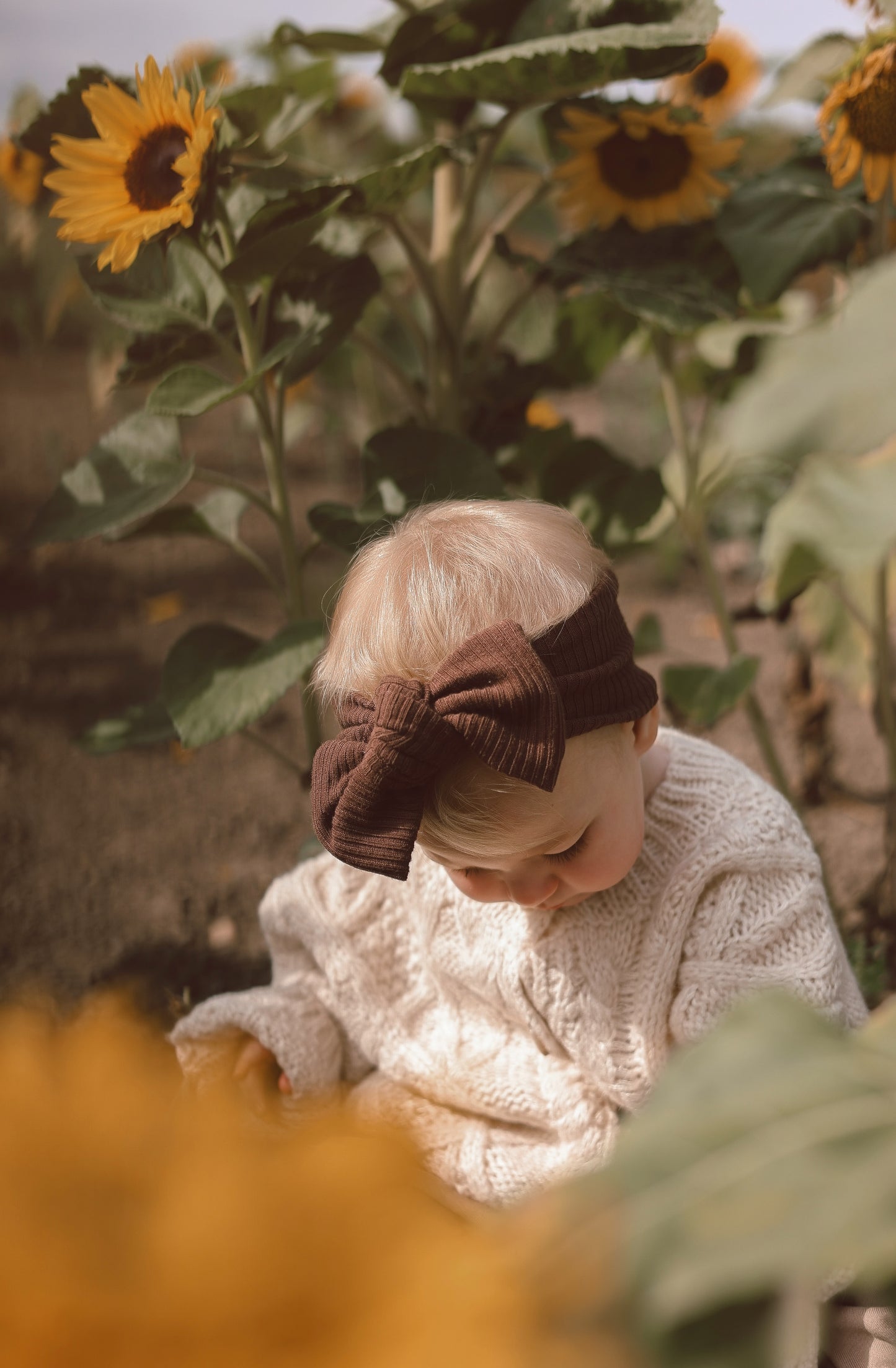 Topknot | Chocolate Brown Rib