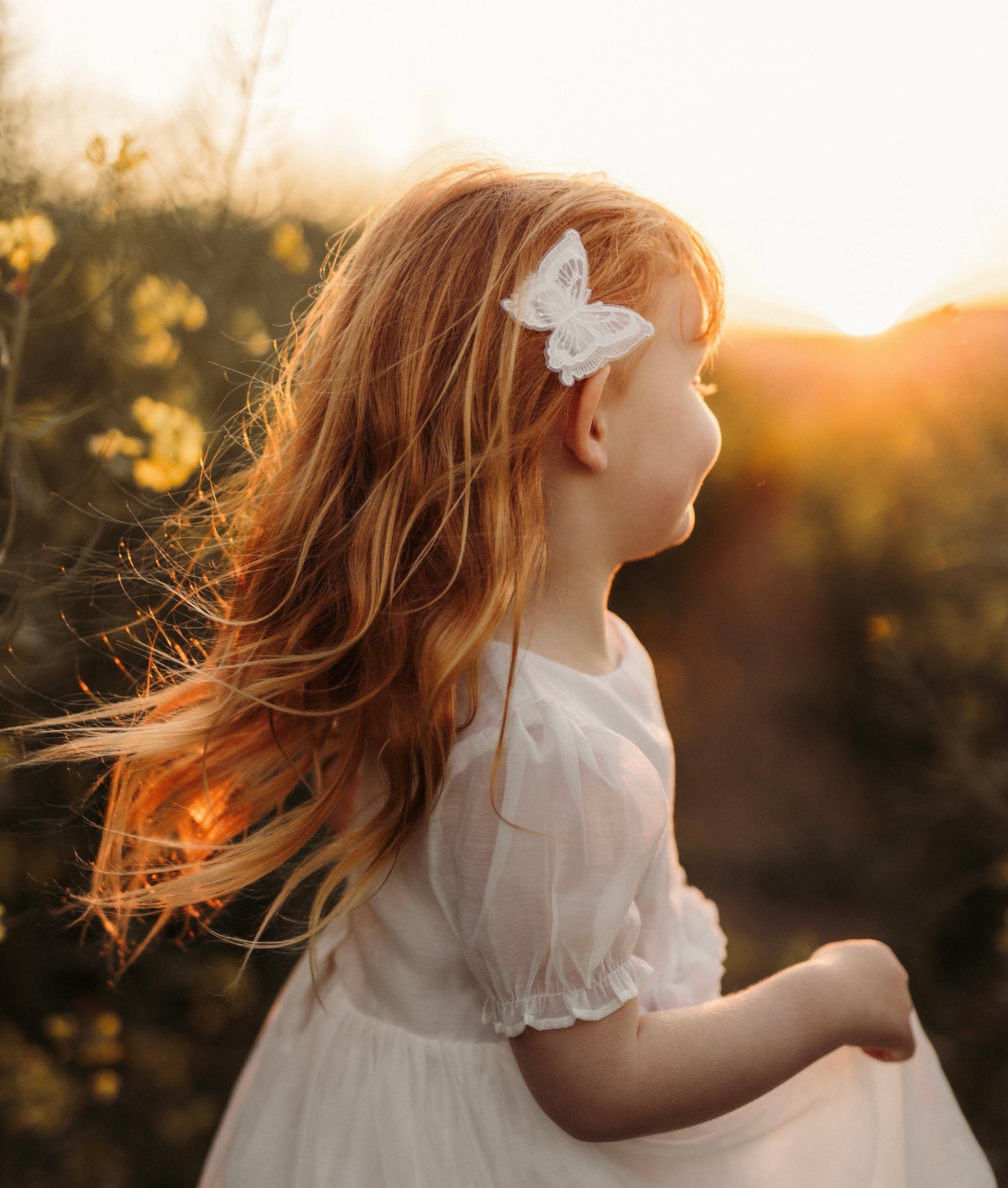 Clip | Delicate Butterfly