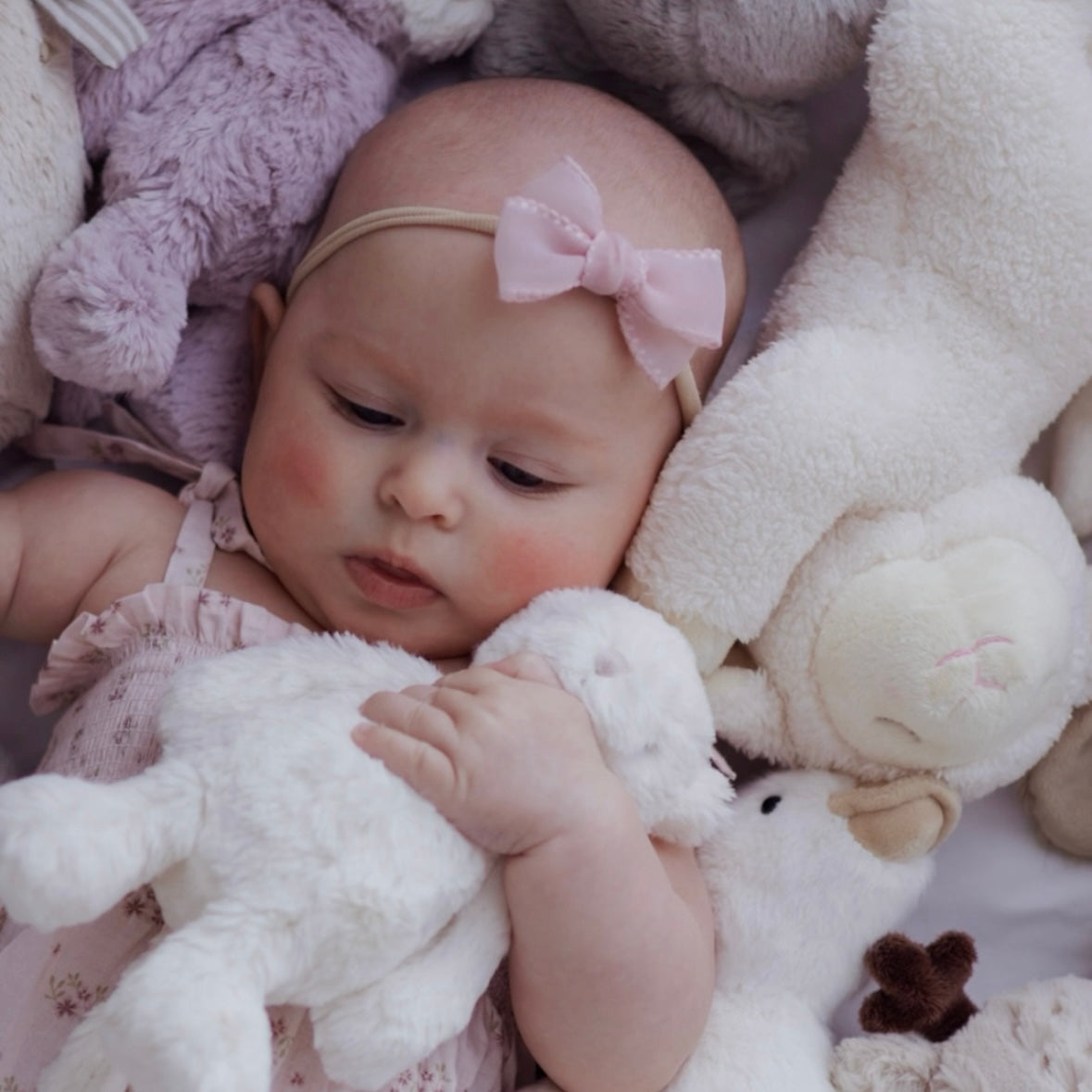 Petite Chiffon Bow | Dusky Pink