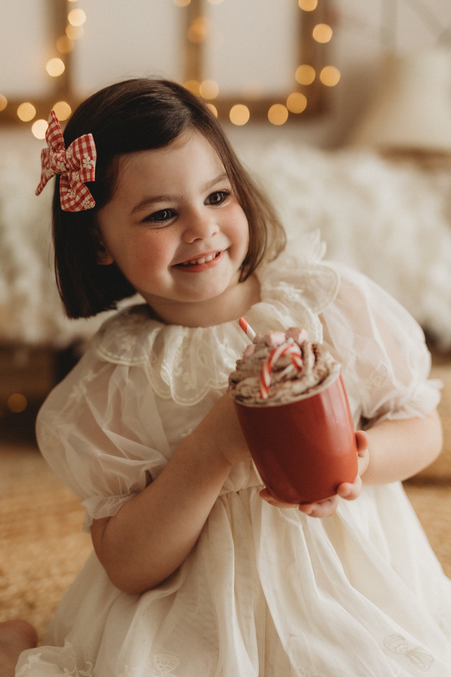 Pinwheel Bow | Red Embroidered Gingham