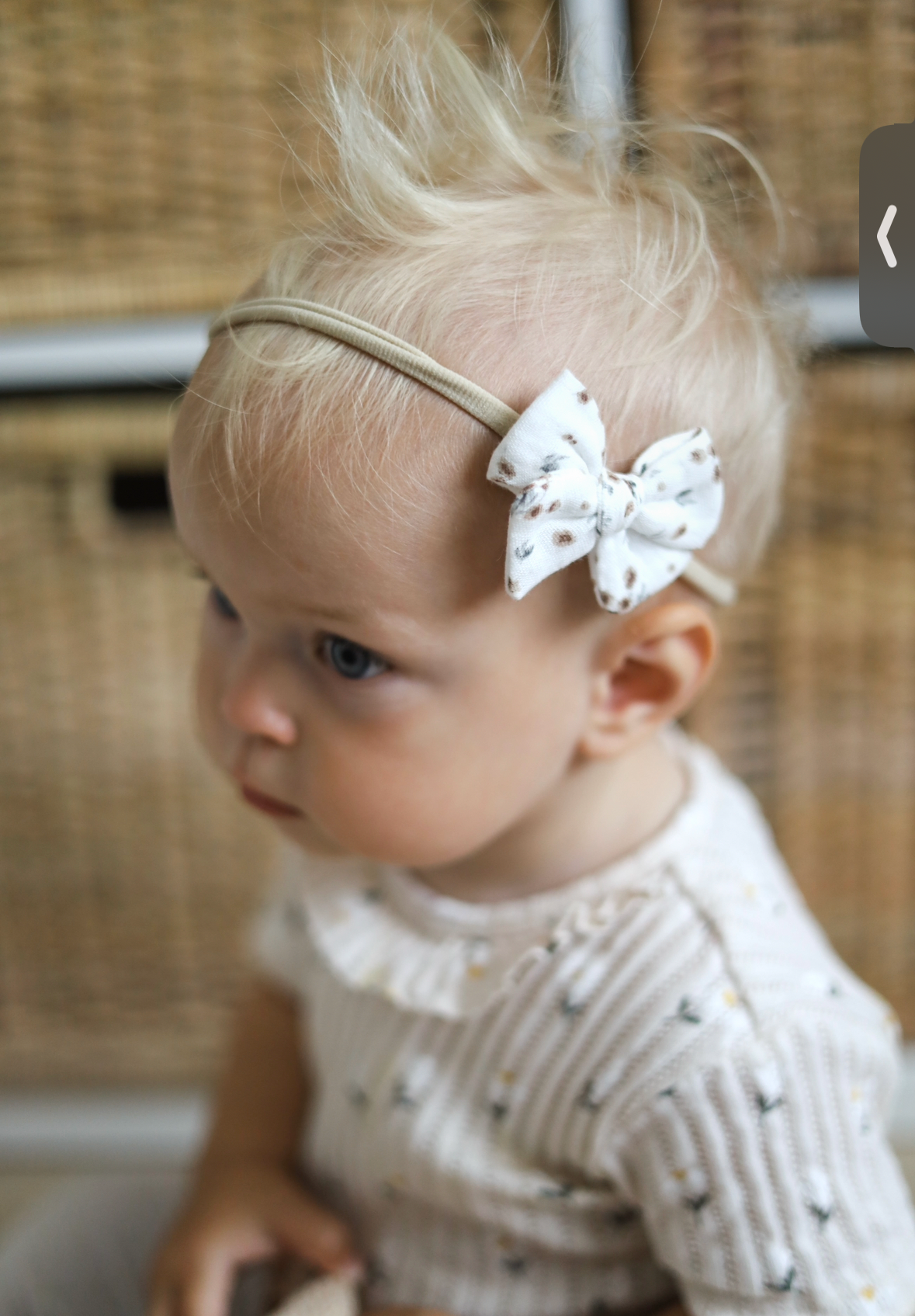 Petite Pinwheel Bow | Orchard Bloom