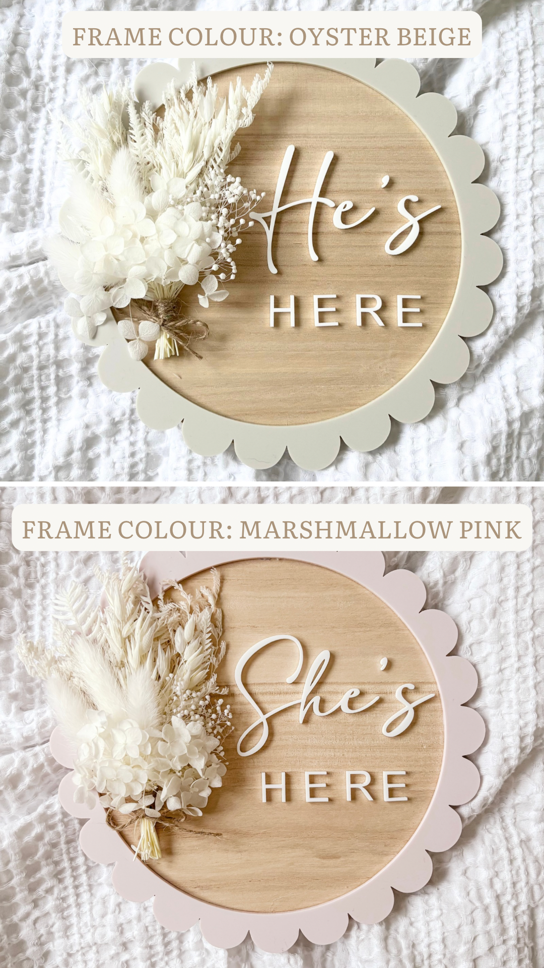 Announcement Plaque | ‘She’s Here’ Dried Flower Scallop Design