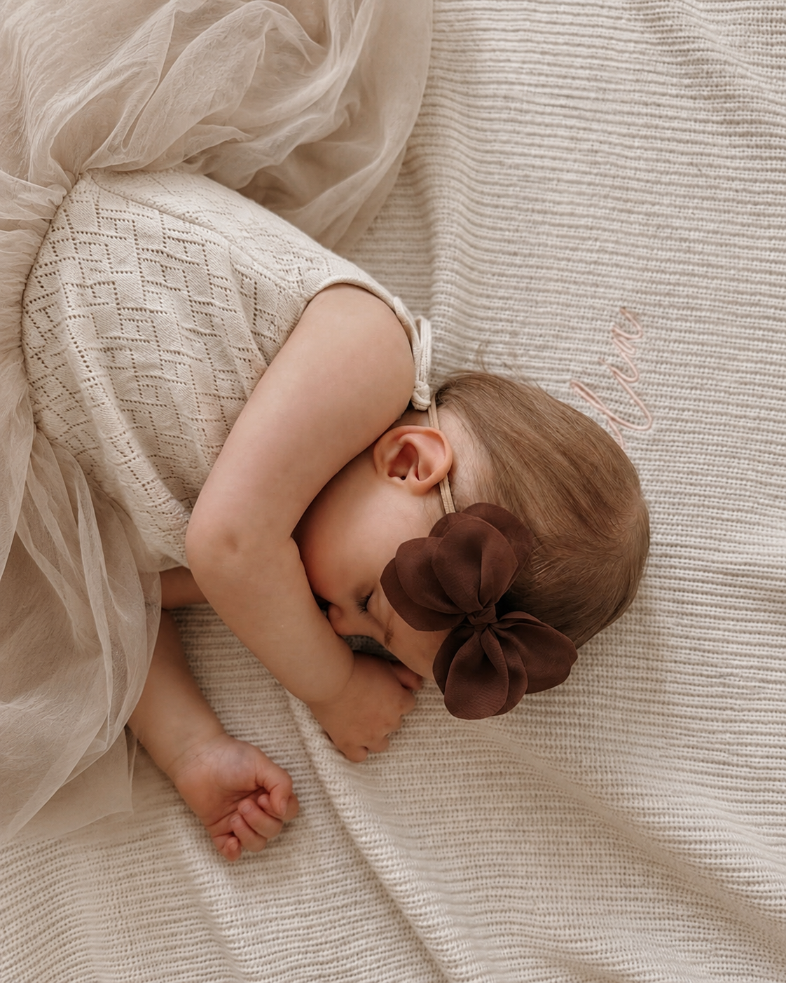 Pixie Bow | Chocolate Brown