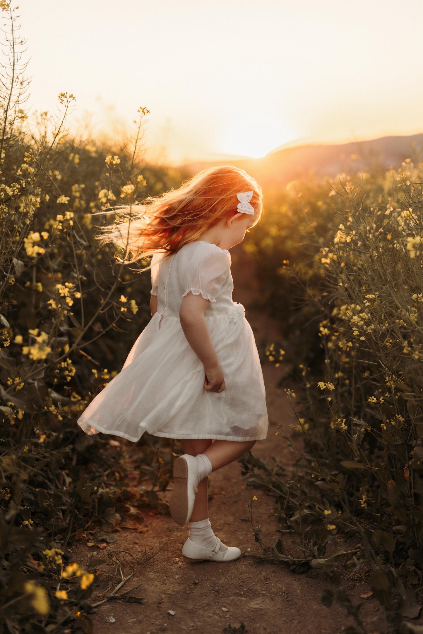 Clip | Delicate Butterfly